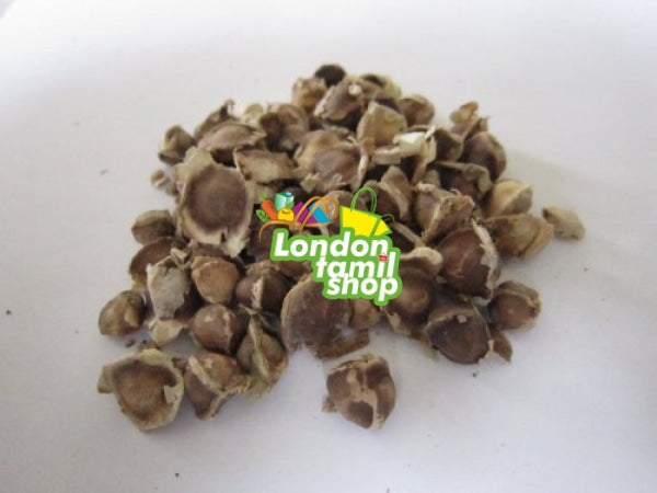 100 Moringa Oleifera Seeds