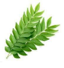 Fresh curry leaves 50 grams(Greenleon)