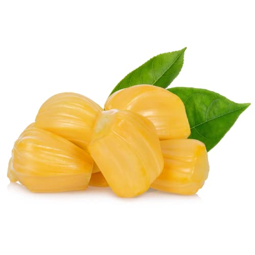 Fresh Peeled Thai Jackfruit 500gr