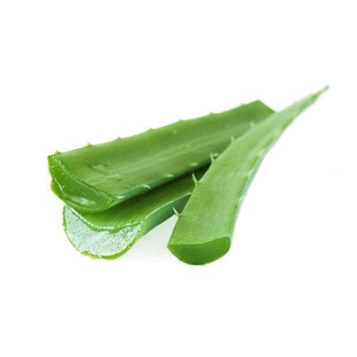 Greenleon Fresh Aloe Vera | 1 kg