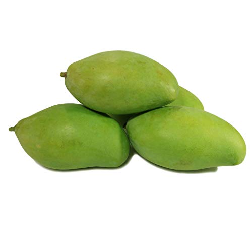 Fresh Thai Sour Green Mango Exotic Fruit - imported weekly from Thailand