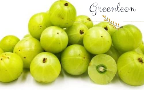 Fresh Amla 1000 grams(Greenleon)