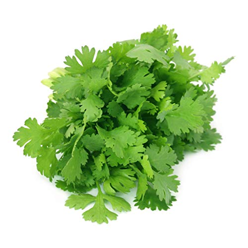 Fresh Asian Coriander Herbs 1 Bunch - Imported weekly from Asia