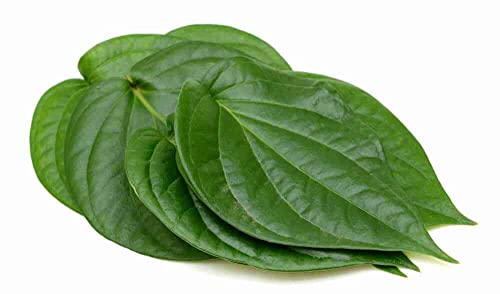 Betel leaves fresh 100 grams(Greenleon)