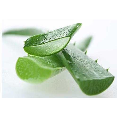 Greenleon Fresh Aloe Vera | 1 kg