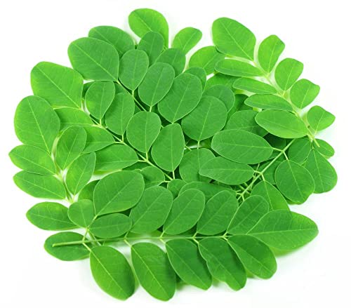 Moringa leaves | Drumstick Fresh Leaves 900 grams(Greenleon)