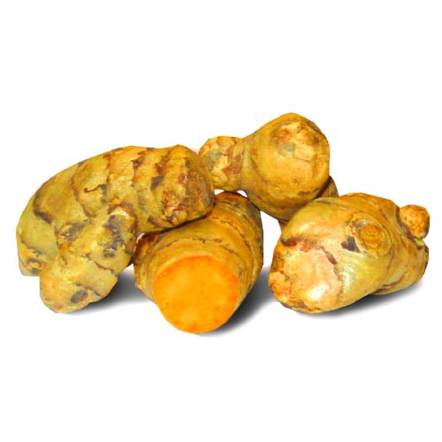 FRESH TURMERIC ROOTS 1.5Kg WHOLESALE BAG / Class 1 Quality