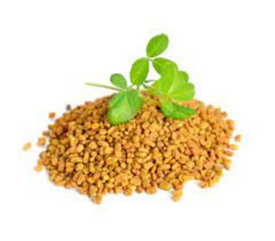 Fenugreek Powder | TRIGONELLA FOENUM- GRAECUM 50 gram