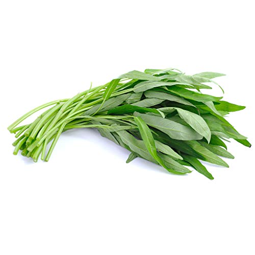 Fresh Thai Morning Glory (Water Spinach) Vegetables Leaves 200g - Imported Weekly from Thailand