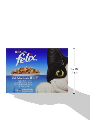 Felix Cat Food Fish Selection in Jelly, 12 x 100g