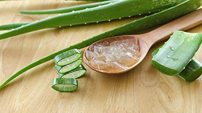 Greenleon Fresh Aloe Vera | 1 kg