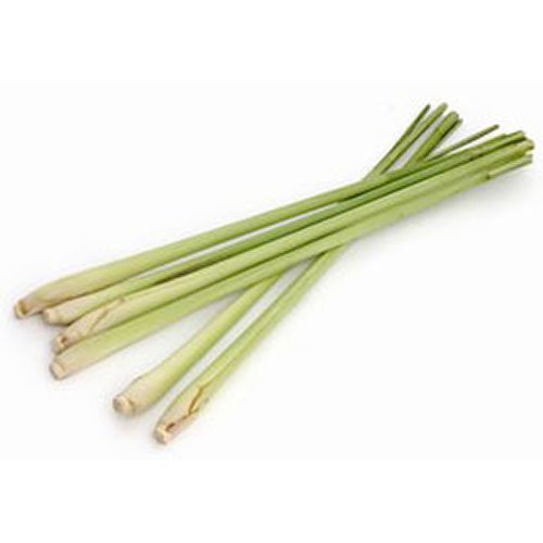 Fresh Thai Lemon Grass (100g)