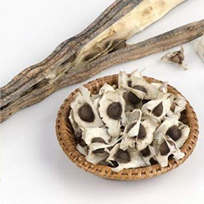 50Pcs Healthy Moringa Oleifera Seeds Health Skin Benefits Drumstick Tree Seeds - Flower Seeds Vegetable Seeds Fruit Seeds Garden Plant Seeds