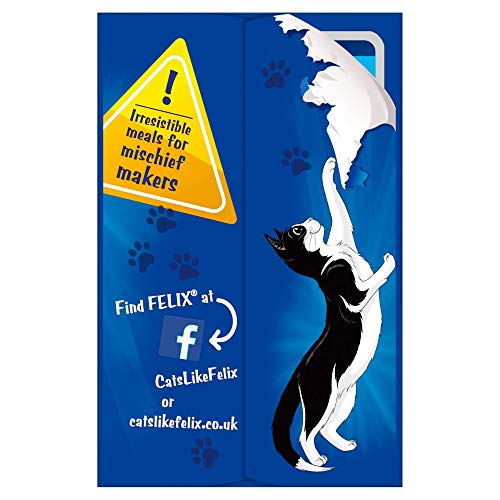 Felix Cat Food Fish Selection in Jelly, 12 x 100g