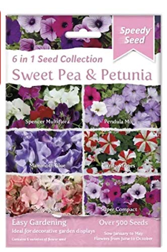 Speedy Seed 6 in 1 Collection Range for Easy Gardening (Sweet Pea & Petunia)