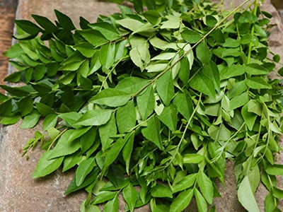 Fresh Curry Leaves 50g