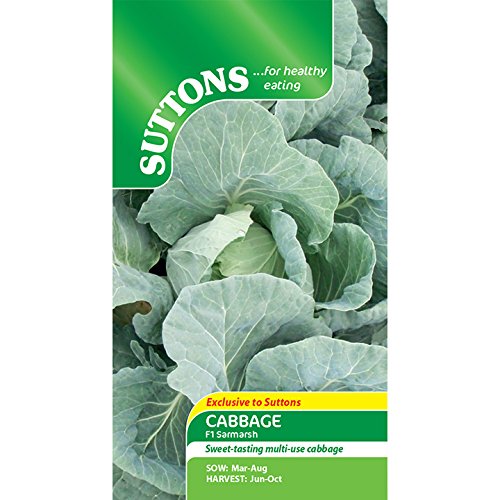 Suttons Seeds 153803 Cabbage Sarmarsh Seeds (Pack of 60)