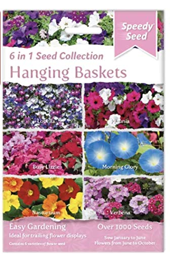 Speedy Seed 6 in 1 Collection Range for Easy Gardening (Hanging Baskets)