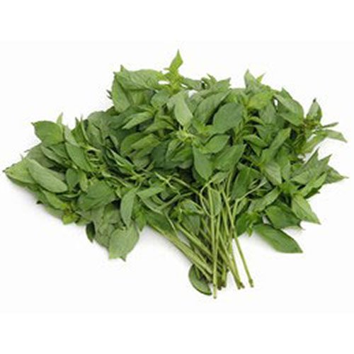 Fresh Thai Basil (Sweet) (100g)