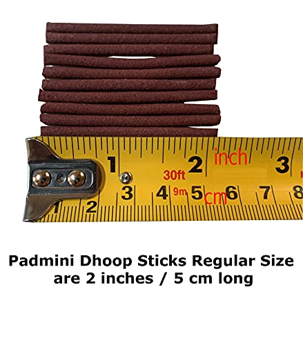 Padmini DHOOP Sticks Small Size Boxes 10 Dhoops Per Box (12 Pack Total 120 Sticks)