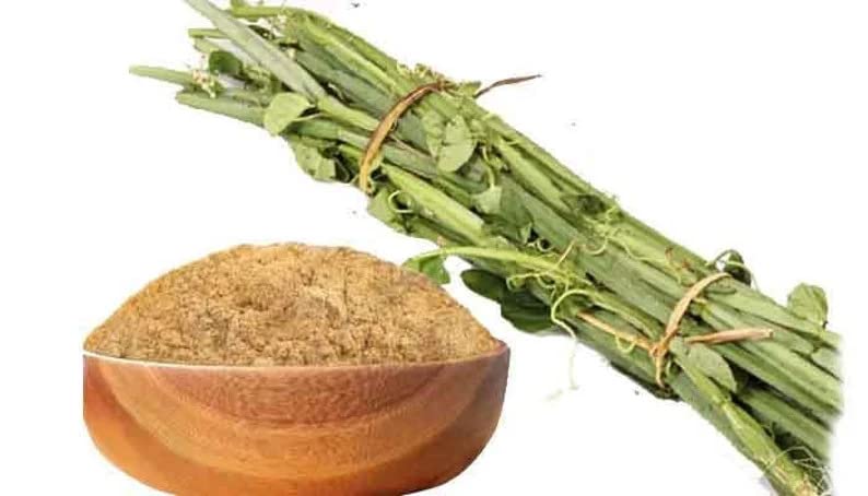 Pirandai Powder | CISSUS QUADRANGULARIS - 50gm