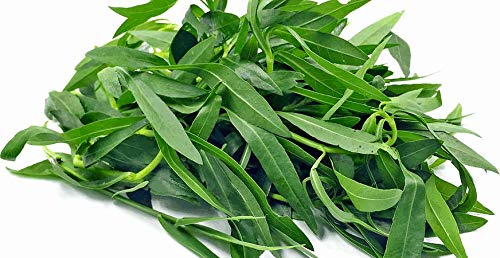 Ponnanganni keerai | Sessile Joyweed 750 grams(Greenleon)