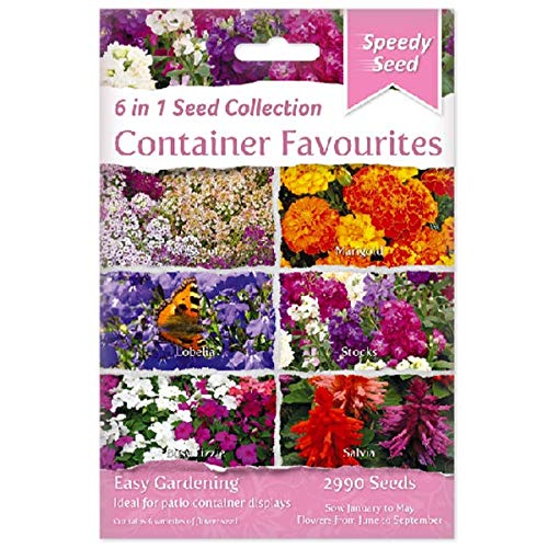 Speedy Seed 6 in 1 Seed Collection Range for Easy Gardening (Container Favourites)