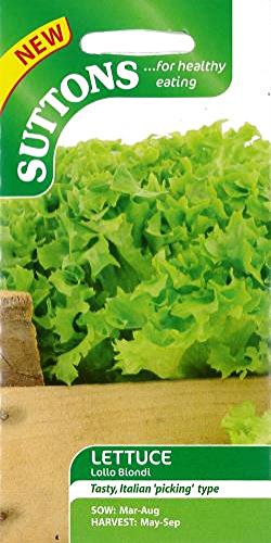 Suttons Seeds Lettuce Red Iceberg Seeds