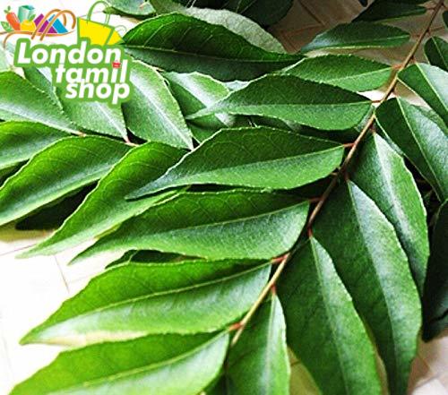 FRESH CURRY LEAVES (3 packs)