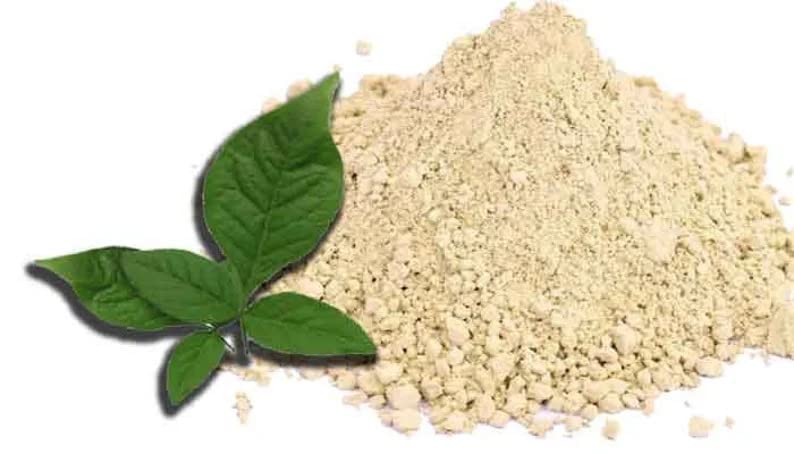 Vilva Illai Powder | Vilvam Powder | AEGLE MARMELOS - 50gm