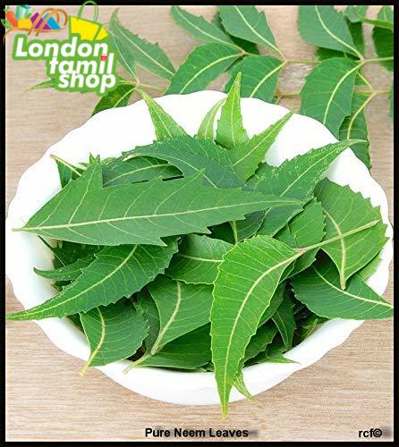 Fresh Neem Leaves/निम पत्ता, Skin Care 55g Packet (Free UK Post)