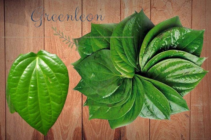 Betel leaves fresh 150 grams(Greenleon)