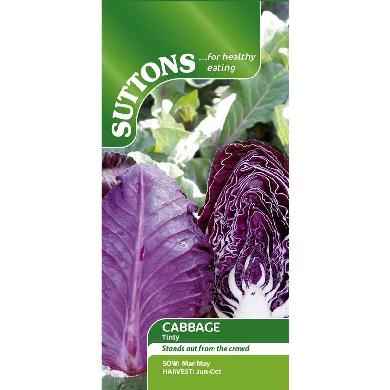 Suttons Seeds 153795 Cabbage Tinty Seeds (Pack of 50)