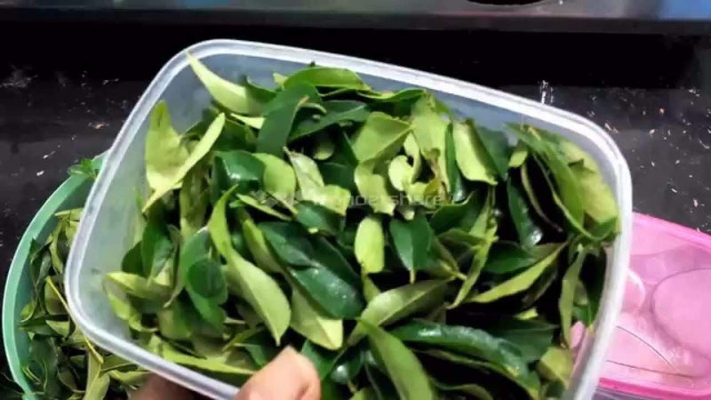 Fresh Curry Leaves 20g