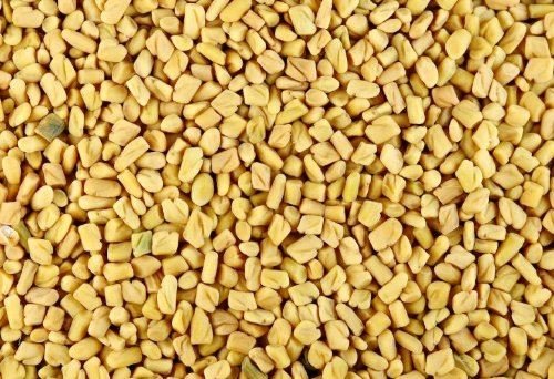 FENUGREEK SEEDS / WHOLE FENUGREEK COOKING ASIAN HERBS AND SPICES 100g