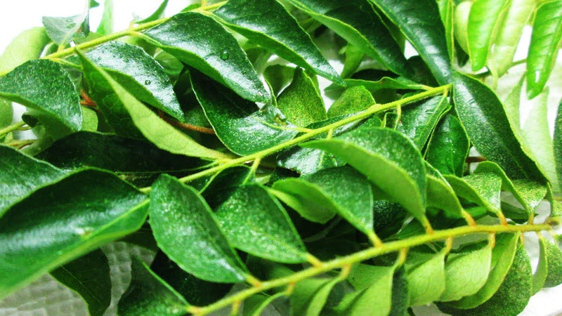 Fresh Curry Leaves 50g