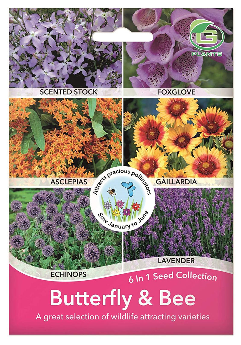 Seed Collection 6 in 1 - Butterfly & Bee Seeds