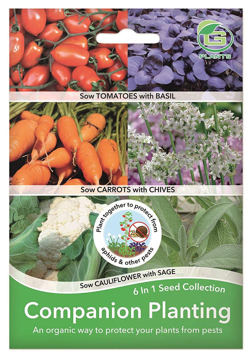 Seed Collection 6 in 1 - Companion Planting Seeds