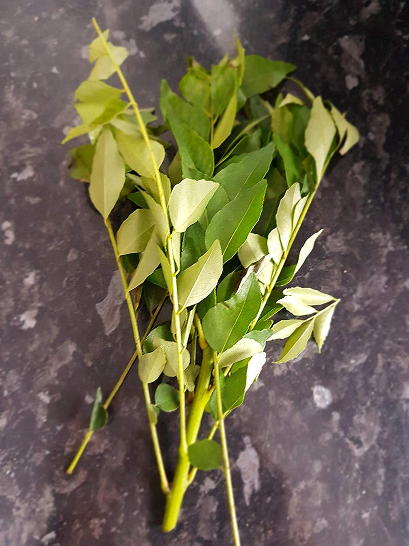 Fresh Curry Leaves/Kadi Patha (Free UK Post) ,Aromatic/Heathy/Asian cooking