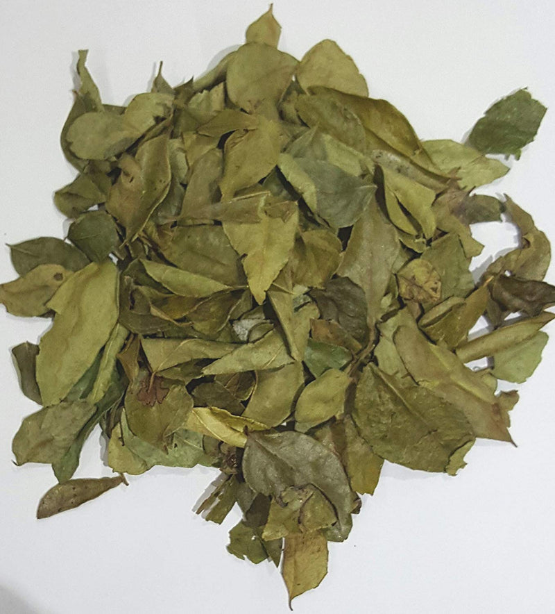 Dried Curry Leaves 20g (FREE POSTAGE)