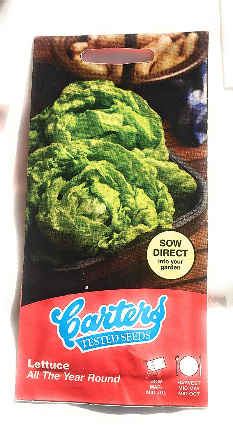 Carters Tested Seeds Lettuce 200seeds x4