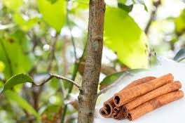 AMMA CEYLON CINNAMON 50G