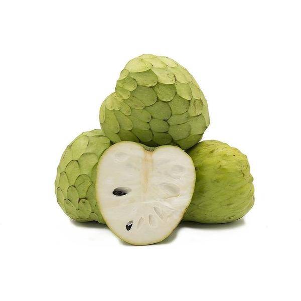 Custard Apple (CHERIMOYA) Single