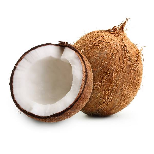 Fresh Coconut with Tail – Single