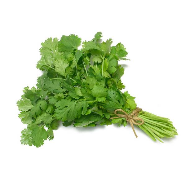 Fresh Coriander Leaf Bunch