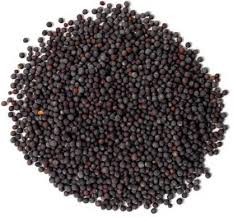 FUDCO BROWN MUSTARD 1KG SEEDS LARGE