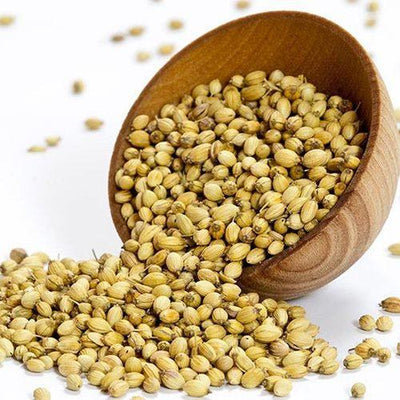 FUDCO CORIANDER SEEDS 75G INDOORI DHANA