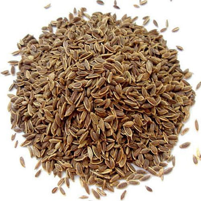 FUDCO DILL SEEDS 100G