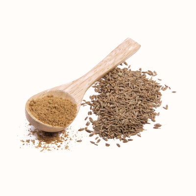 FUDCO GROUND CUMIN 100G POWDER