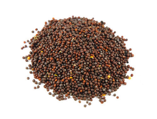 FUDCO MUSARD SEEDS SMALL 100G  BROWN